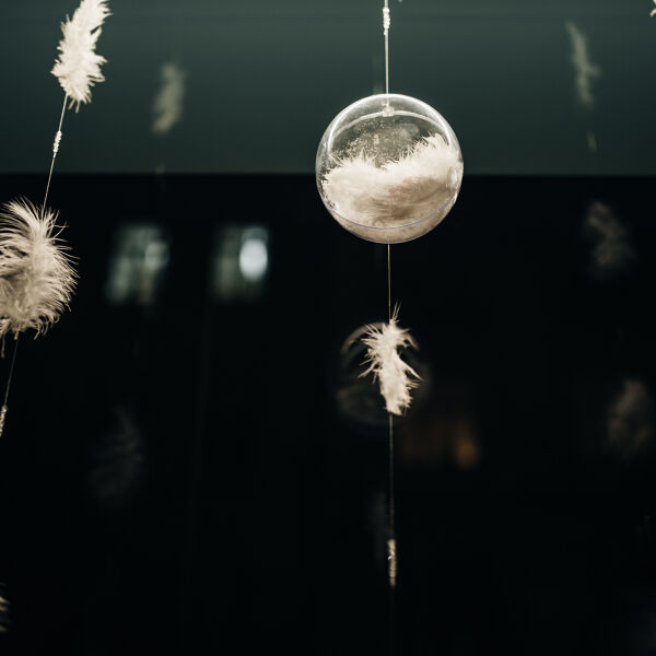 Izložba s snežinkami / Snowflakes Window Display 